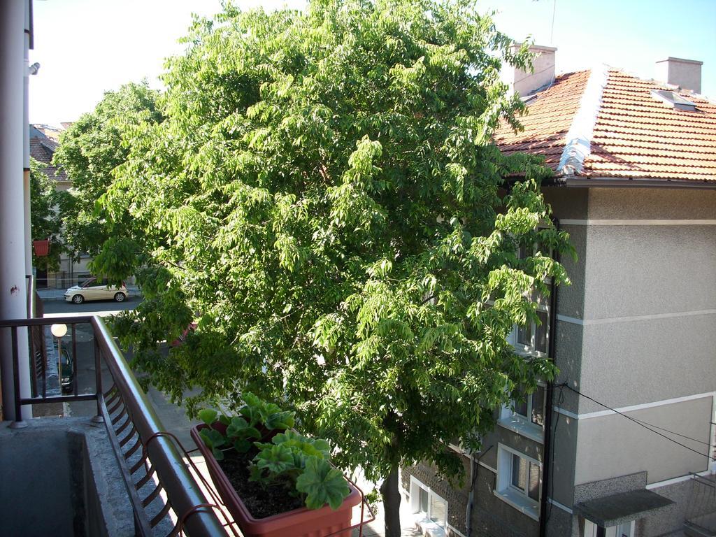 Georgievi Guest House Gmina Gmina Pomorie Zewnętrze zdjęcie